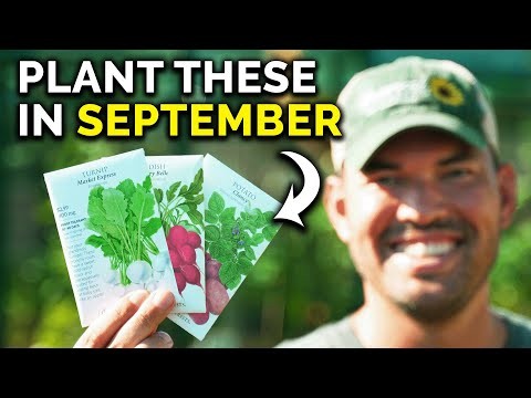 Pflanzanleitung für September:19 Samen für eine Herbsternte 