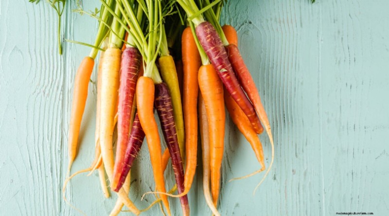 Pflanzanleitung für September:19 Samen für eine Herbsternte 