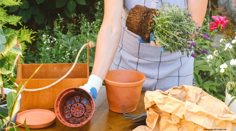 Maximieren Sie Ihren Platz:15 Expertentipps für den Kräutergarten auf kleinem Raum 
