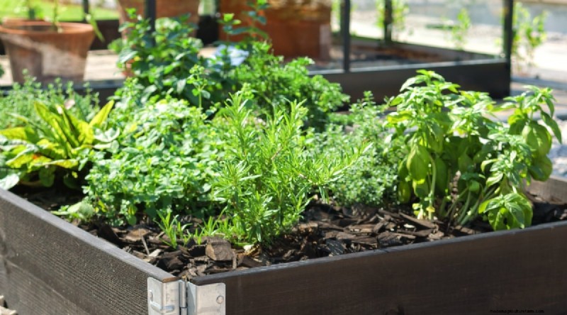 Maximieren Sie Ihren Platz:15 Expertentipps für den Kräutergarten auf kleinem Raum 