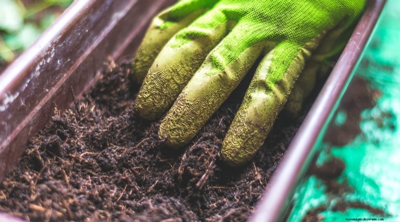 Maximieren Sie Ihren Platz:15 Expertentipps für den Kräutergarten auf kleinem Raum 