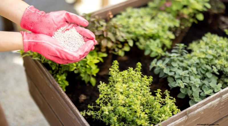 Maximieren Sie Ihren Platz:15 Expertentipps für den Kräutergarten auf kleinem Raum 