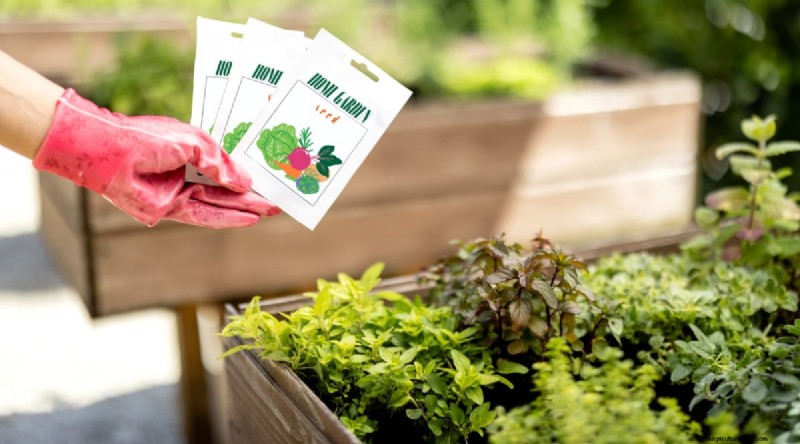 Maximieren Sie Ihren Platz:15 Expertentipps für den Kräutergarten auf kleinem Raum 
