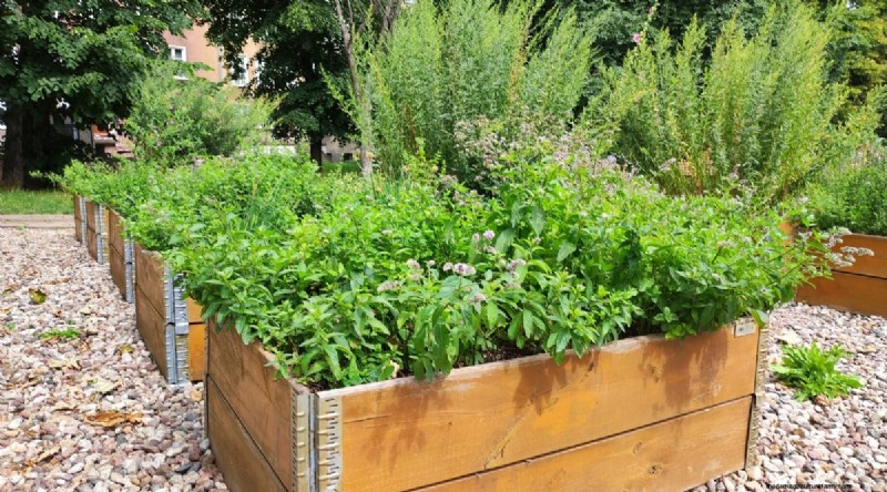 Maximieren Sie Ihren Platz:15 Expertentipps für den Kräutergarten auf kleinem Raum 