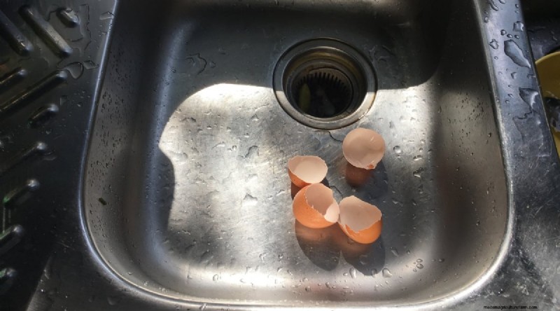 Eierschalen voor tomatenplanten:voordelen en betere alternatieven 