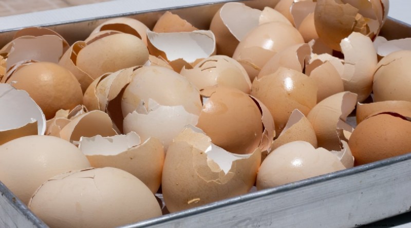 Eierschalen voor tomatenplanten:voordelen en betere alternatieven 