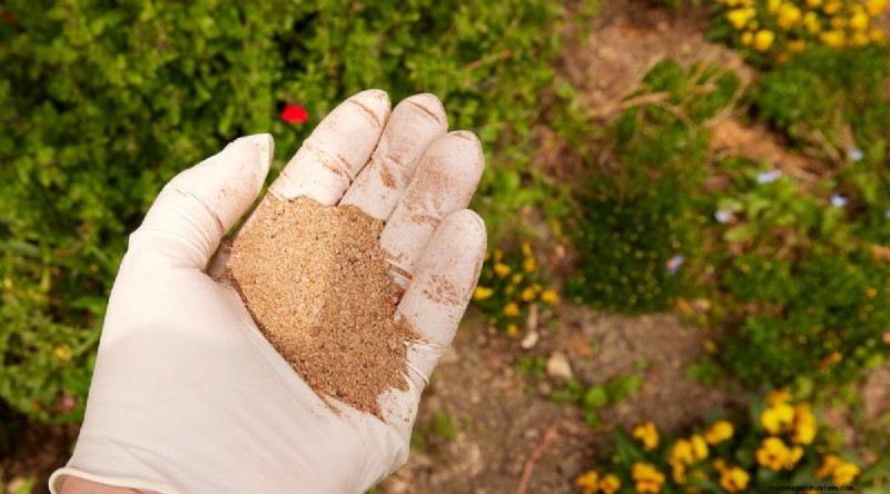 Maximieren Sie die Brassica-Erträge:13 Expertentipps für eine reiche Ernte 