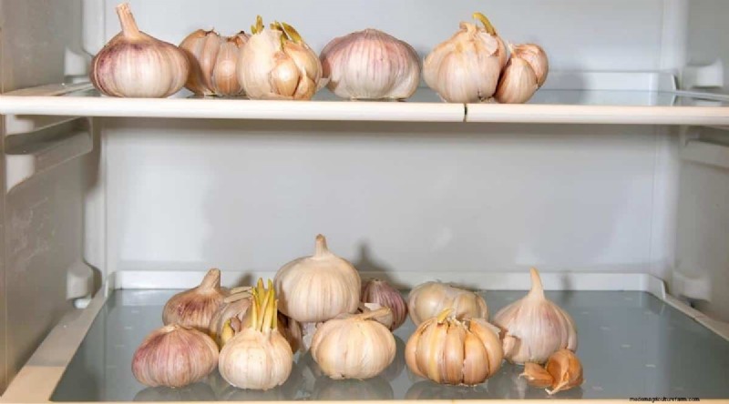 Herfstknoflookplantgids:maximaliseer uw oogst 
