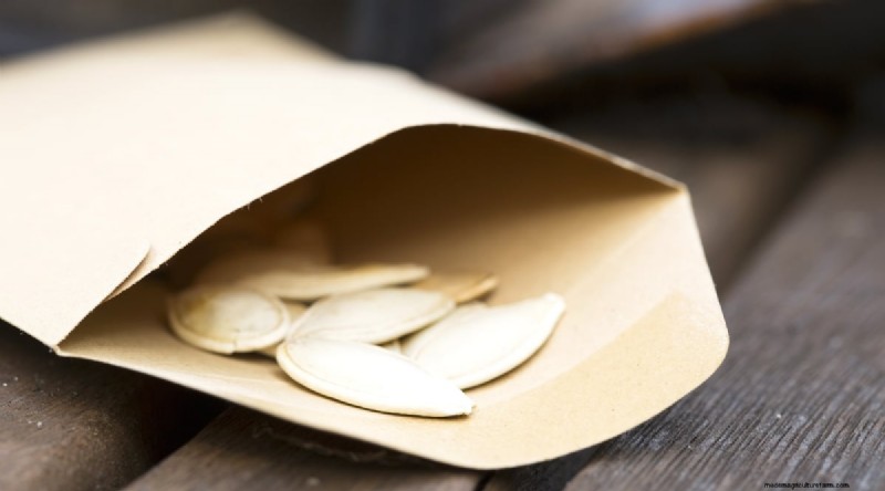 Courgette-groeifasen:een complete gids voor snelgroeiende zomerpompoenen 