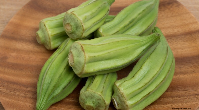 Okra-oogstgids:timing en beste praktijken voor smaakvolle peulen 