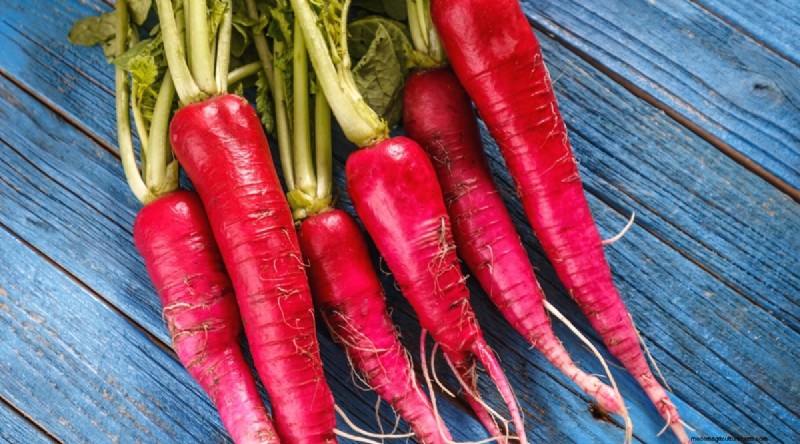 Kweek radijs:40 variëteiten voor elke tuinman 