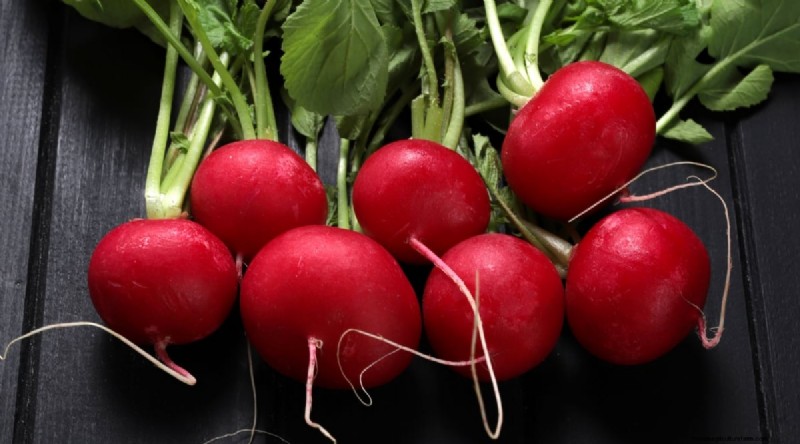 Kweek radijs:40 variëteiten voor elke tuinman 