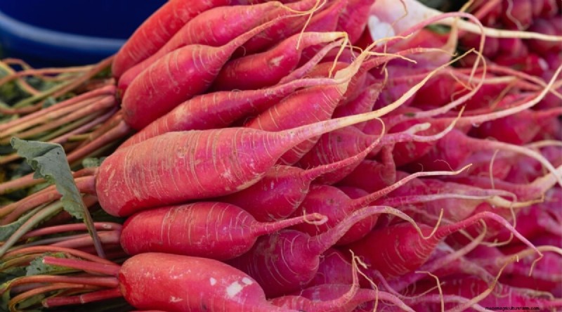 Kweek radijs:40 variëteiten voor elke tuinman 