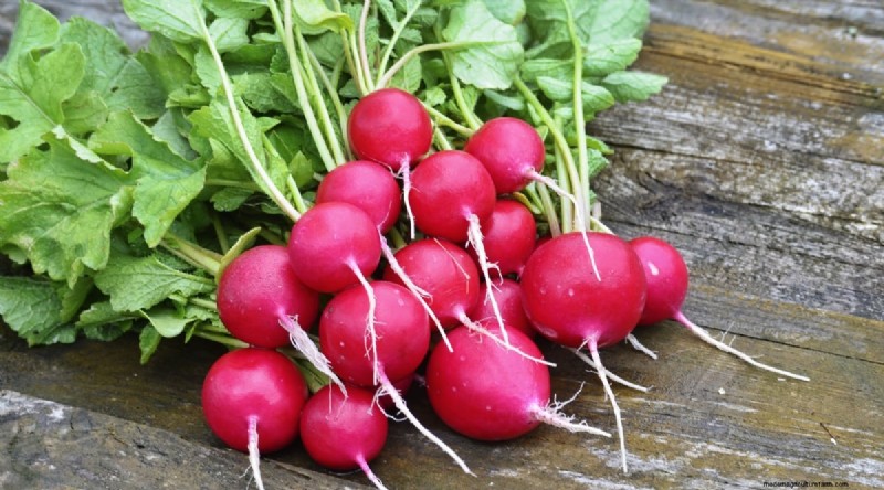Kweek radijs:40 variëteiten voor elke tuinman 