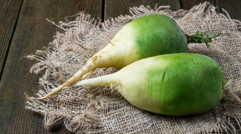 Kweek radijs:40 variëteiten voor elke tuinman 