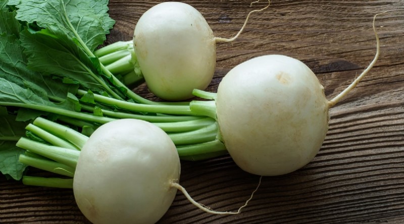 Kweek radijs:40 variëteiten voor elke tuinman 