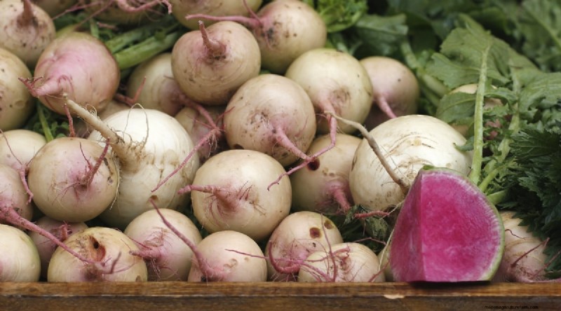 Kweek radijs:40 variëteiten voor elke tuinman 