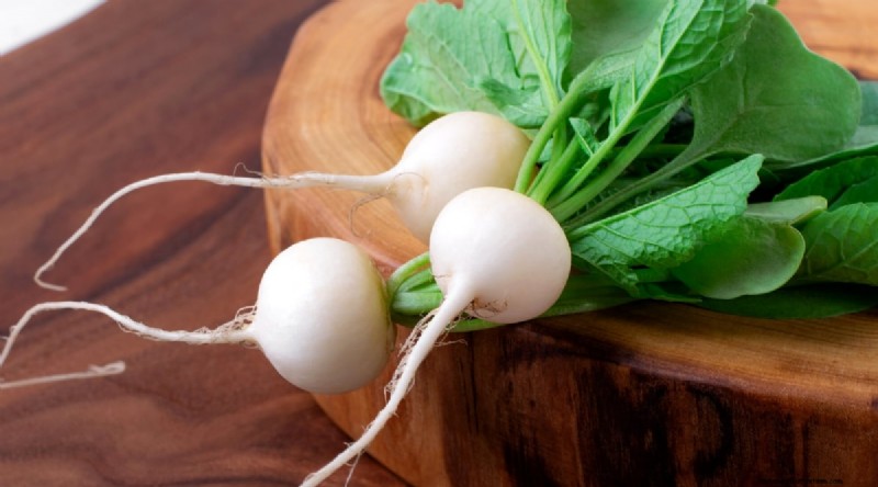 Kweek radijs:40 variëteiten voor elke tuinman 