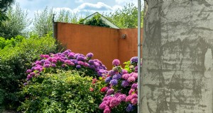 Costos del diseño del paisaje y secretos de los expertos:lo que saben los profesionales 