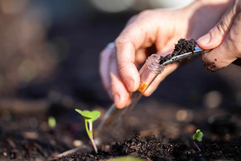 Analisi del suolo:la chiave per un giardino prospero (e un pianeta più sano) 