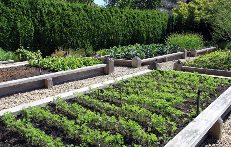 Analisi del suolo:la chiave per un giardino prospero (e un pianeta più sano) 
