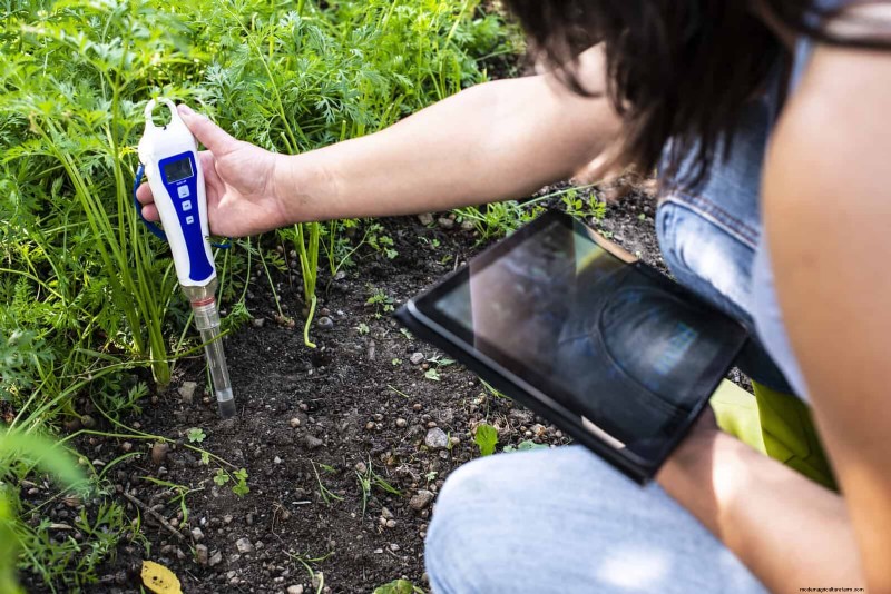 Analisi del suolo:la chiave per un giardino prospero (e un pianeta più sano) 