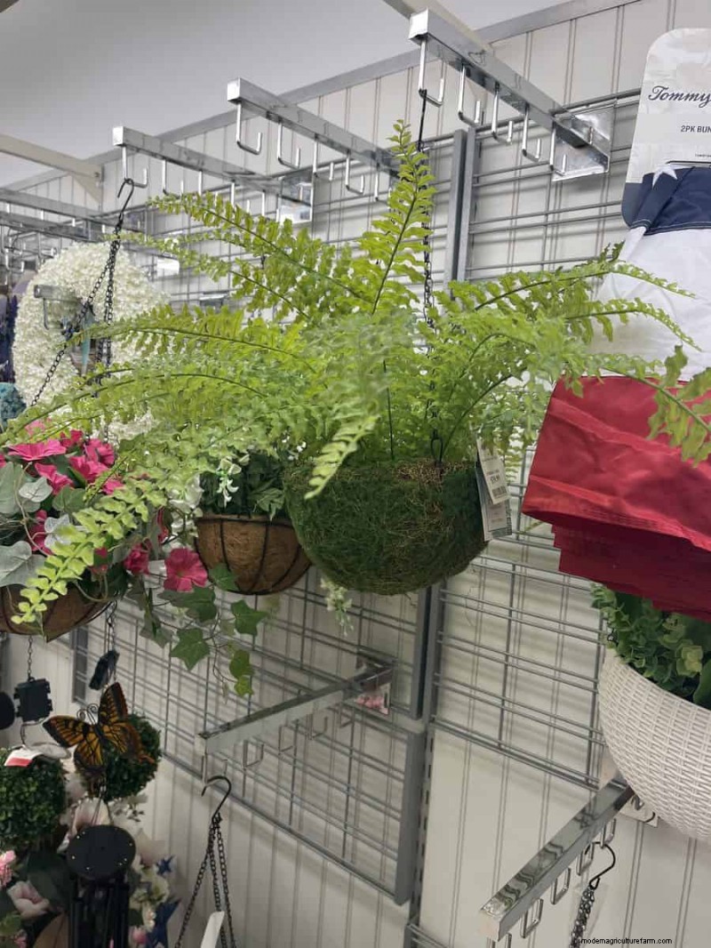 Outdoor- und Gartenfunde für den Frühling in Marshalls:25 Must-See-Artikel 