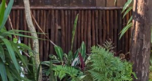 Creëer een natuurvriendelijke tuin:15 habitatideeën 