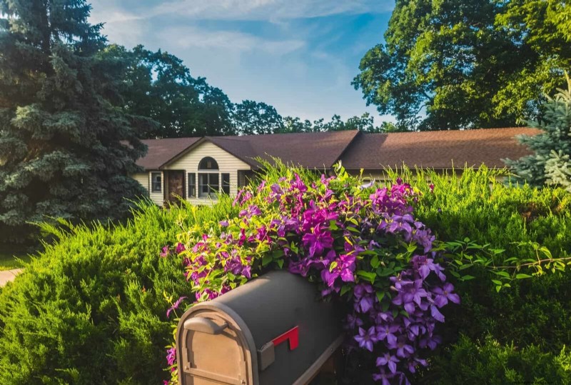 Do s en don ts van Mailbox Garden:vermijd problemen met USPS-bezorging 