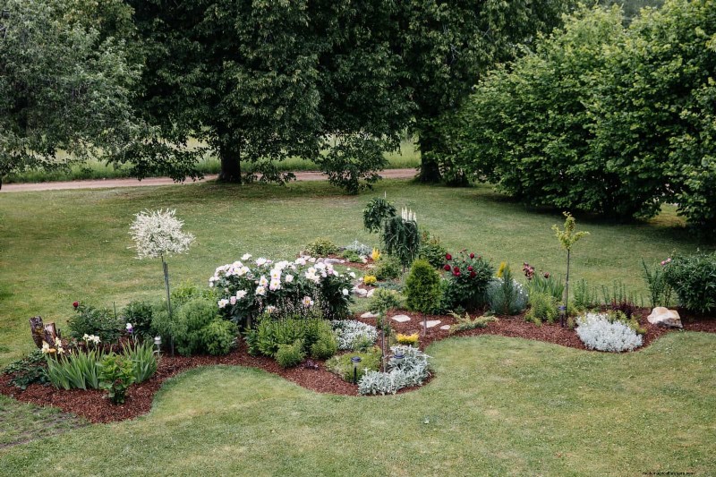 Evite erros no jardim de verão:proteja seu plantio de primavera 