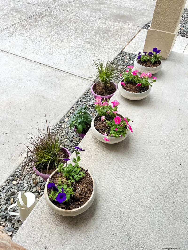 Evite erros no jardim de verão:proteja seu plantio de primavera 