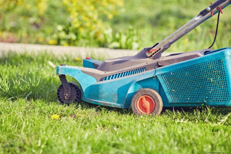 芝生の手入れの間違いを避ける:健康的な夏の芝生を作るための春の 15 の間違い 