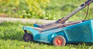 Voorkom fouten bij het gazononderhoud:15 voorjaarsfouten voor een gezond zomergazon 