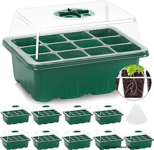 Beste planten om in potten te beginnen:een gids voor vroeg planten 