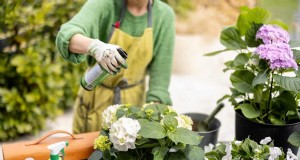 Semplici passi per avviare un giardino, anche quando sei sopraffatto 