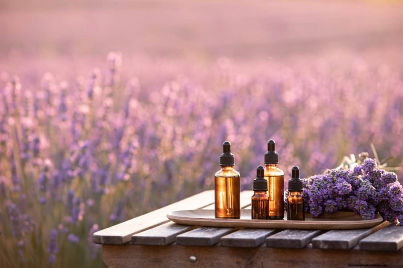 Lavendelverzorging:15 tips van experts voor bloeiende, geurige planten 