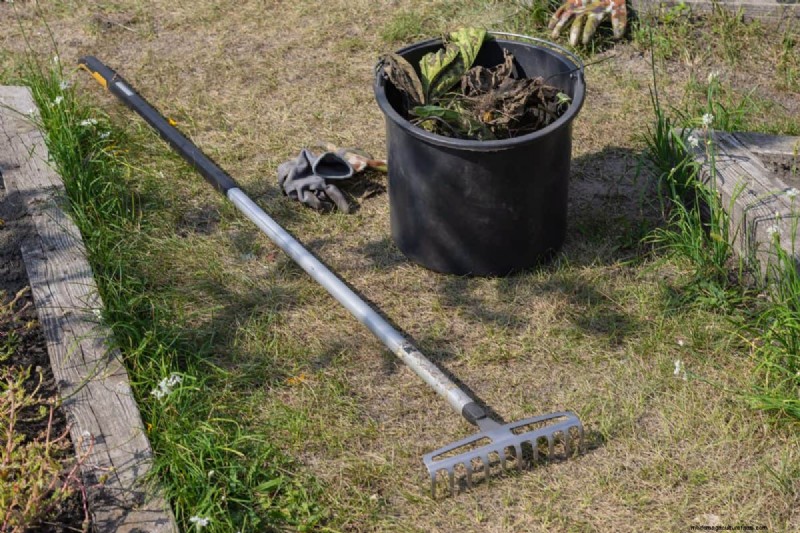 Attività essenziali di giardinaggio primaverile per marzo:una guida completa 
