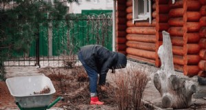 Attività essenziali di giardinaggio primaverile per marzo:una guida completa 