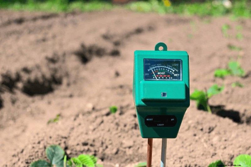 Attività essenziali di giardinaggio primaverile per marzo:una guida completa 