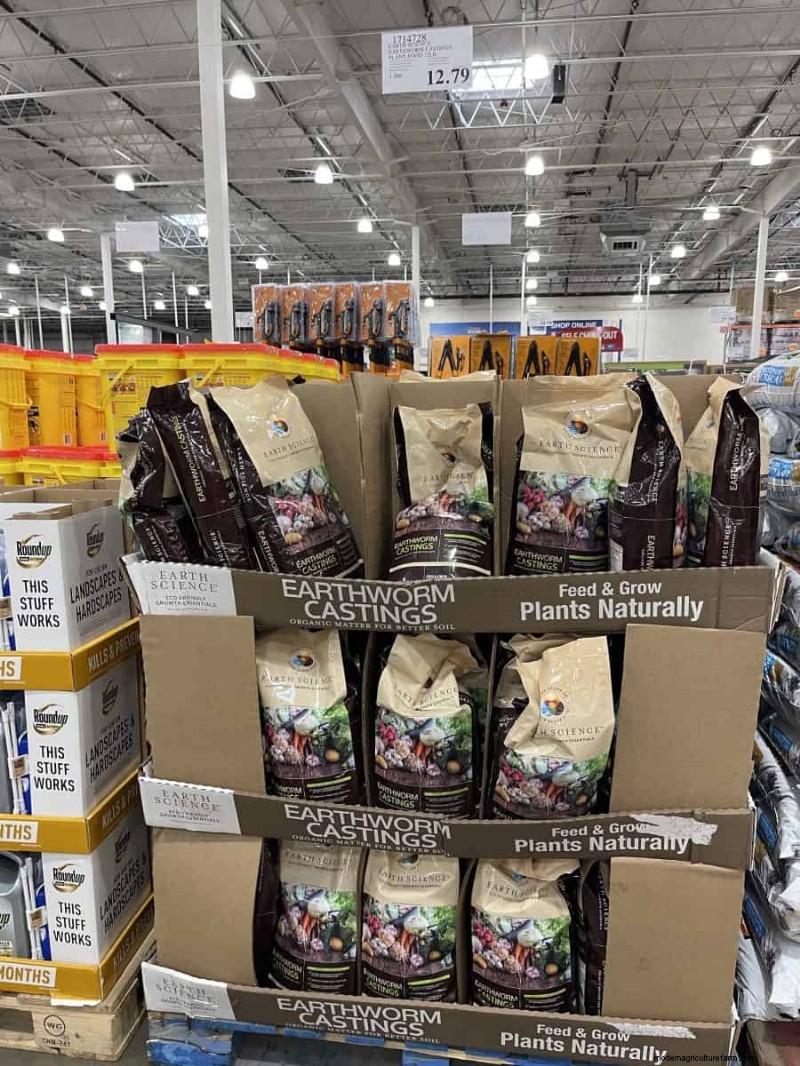 Costco Gardening Fundstücke:Frühlingszwiebeln, Rosen und mehr (20+ Angebote!) 