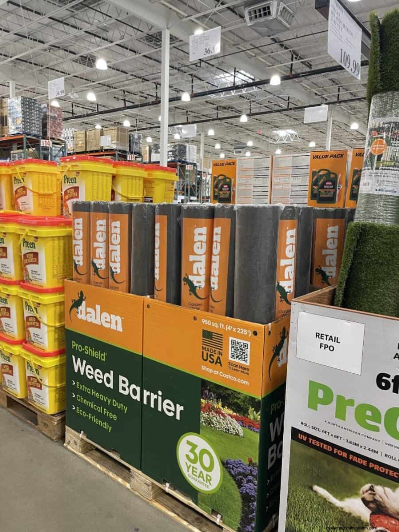 Costco Gardening Fundstücke:Frühlingszwiebeln, Rosen und mehr (20+ Angebote!) 
