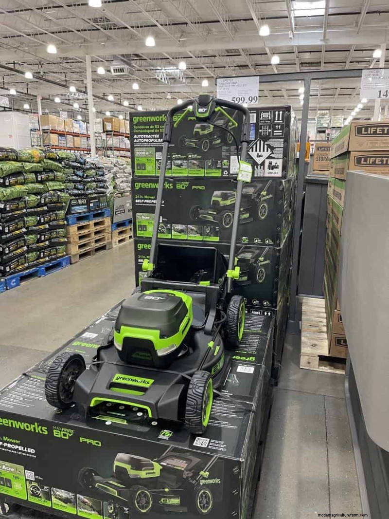 Costco Gardening Fundstücke:Frühlingszwiebeln, Rosen und mehr (20+ Angebote!) 