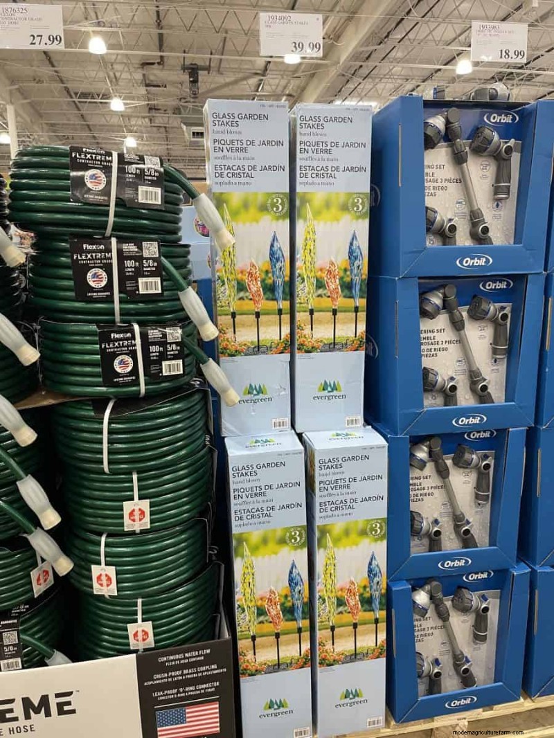 Costco Gardening Fundstücke:Frühlingszwiebeln, Rosen und mehr (20+ Angebote!) 