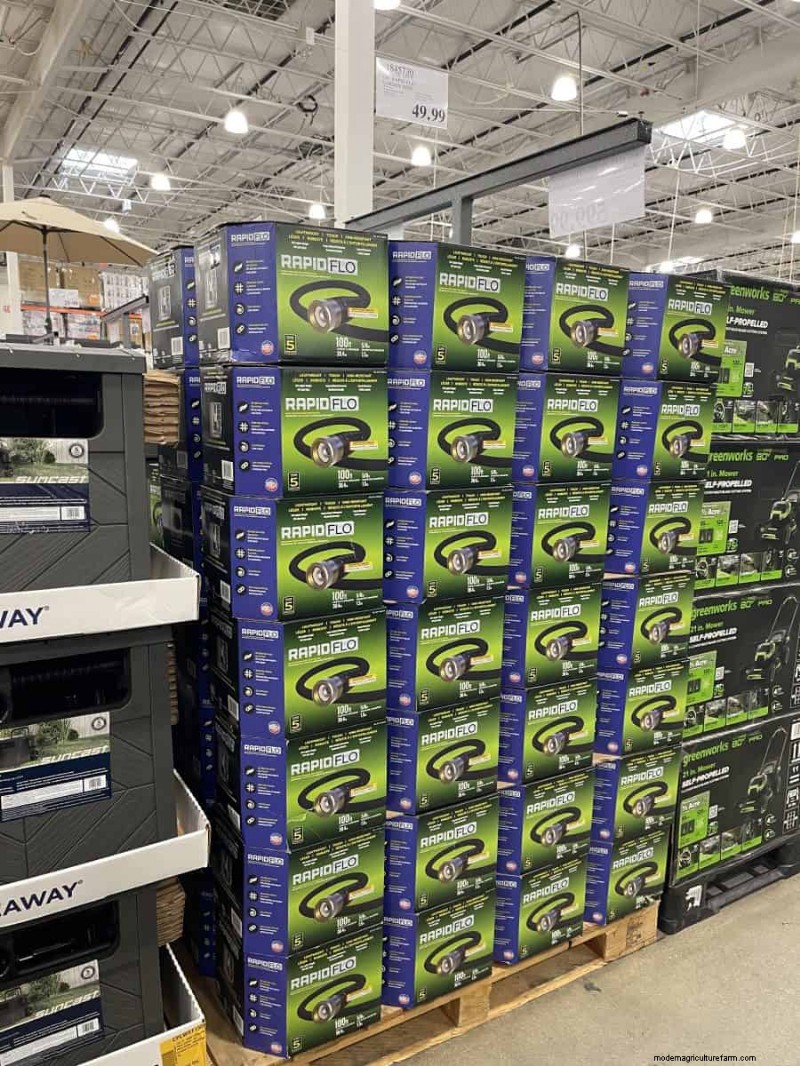 Costco Gardening Fundstücke:Frühlingszwiebeln, Rosen und mehr (20+ Angebote!) 