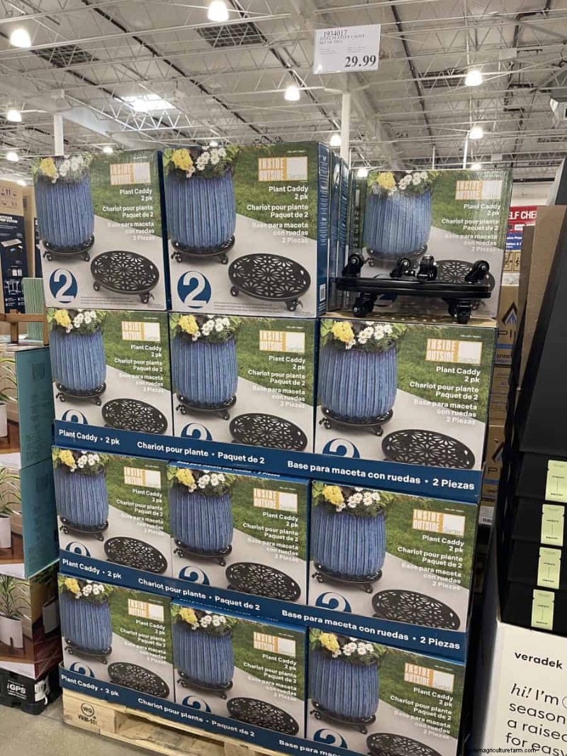 Costco Gardening Fundstücke:Frühlingszwiebeln, Rosen und mehr (20+ Angebote!) 