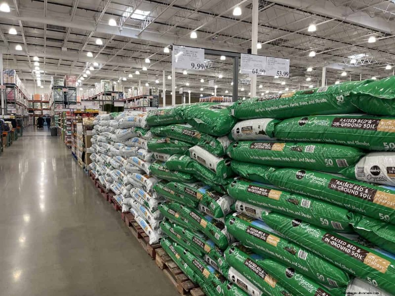 Costco Gardening Fundstücke:Frühlingszwiebeln, Rosen und mehr (20+ Angebote!) 