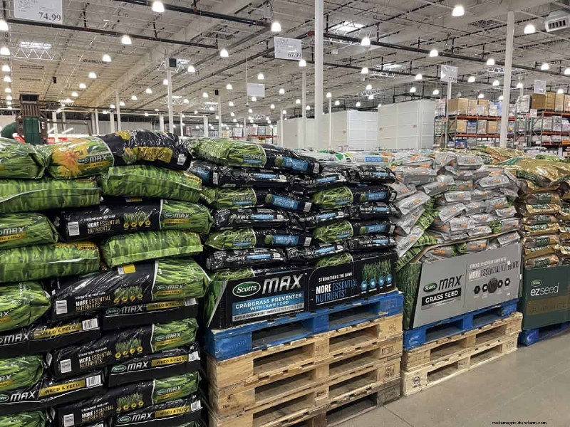 Costco Gardening Fundstücke:Frühlingszwiebeln, Rosen und mehr (20+ Angebote!) 