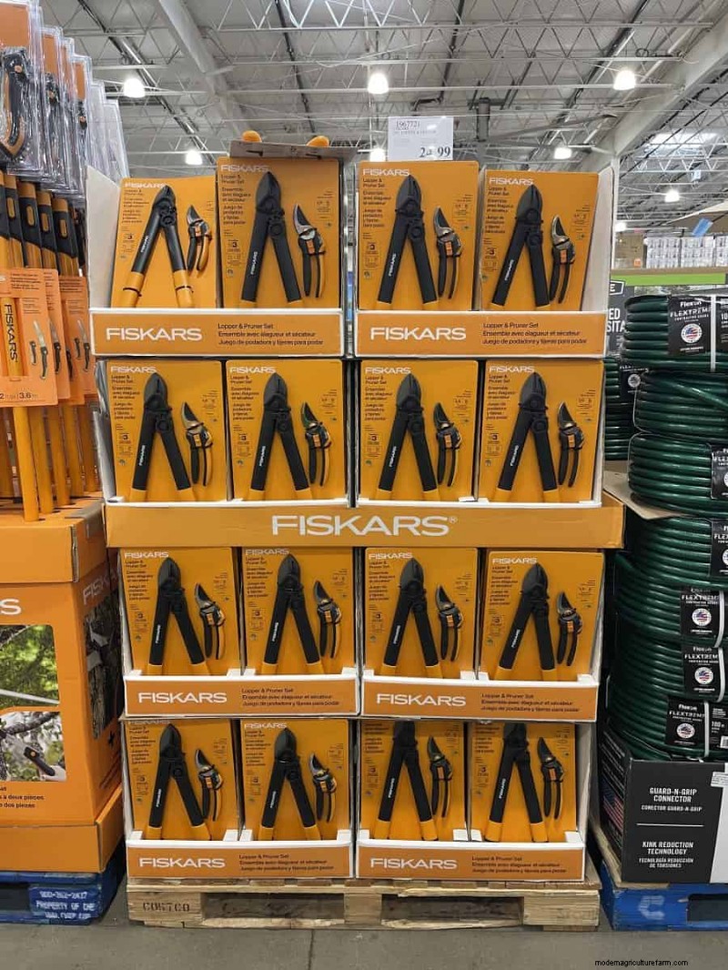 Costco Gardening Fundstücke:Frühlingszwiebeln, Rosen und mehr (20+ Angebote!) 