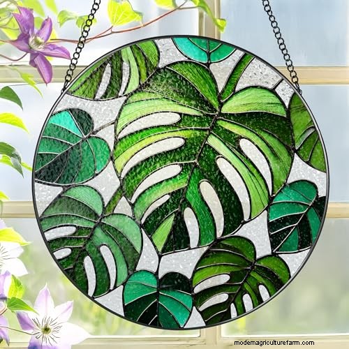 12 prachtige Monstera Suncatchers om je huis op te fleuren 