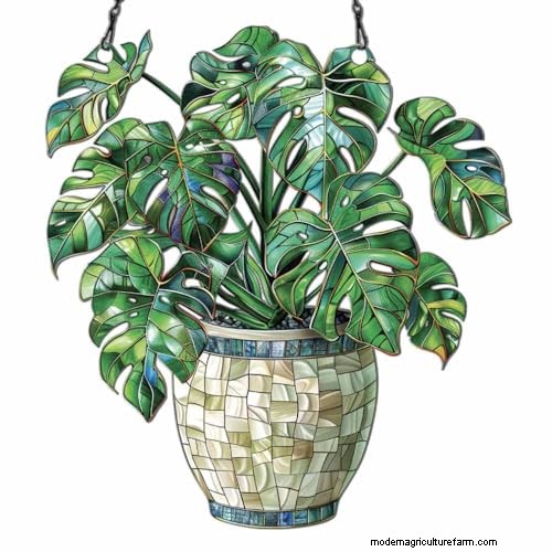 12 prachtige Monstera Suncatchers om je huis op te fleuren 